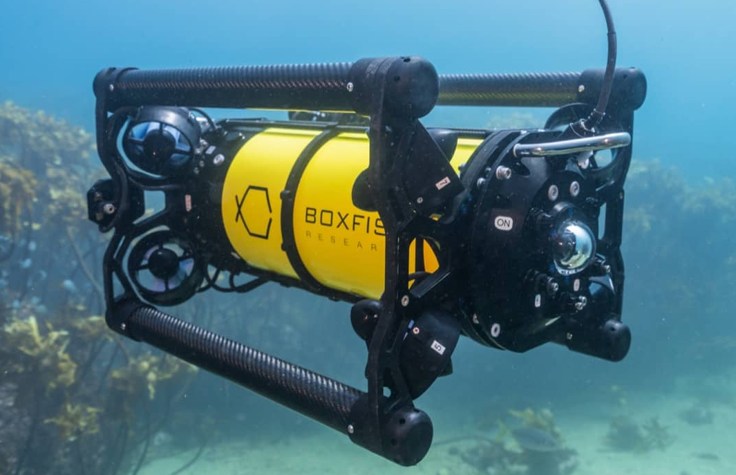 boxfish扩展以将水下机器人引入欧洲