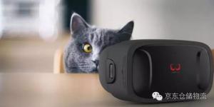 可穿戴技术在智能仓储中的应用