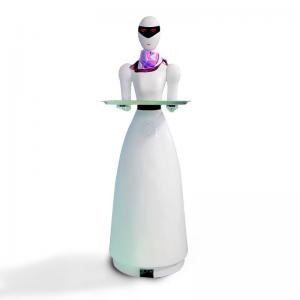 女神送餐机器人