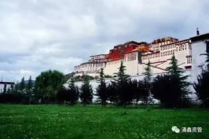 机器人行业报告全解析