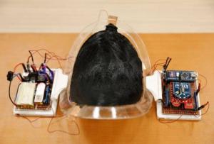 飞机上惊现蛇！不要惊慌 它可能只是一个软体机器人