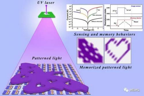 半导体所在柔性人工视觉感知和存储系统领域取得新进展