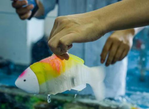 “小身材”、“大能量”：仿生机器鱼这一年成绩喜人