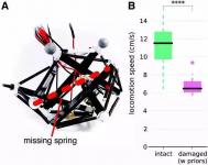 科技|这款新型软体机器人借助机器学习算法，拥有像生物一样柔软性