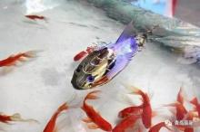 锦鲤机器鱼、水下隐形“卫兵”，这些上合峰会的高科技都来自高新区