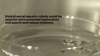 电润湿现象助力水陆两栖微型机器人 ，顶级期刊《Nature Communications》发布