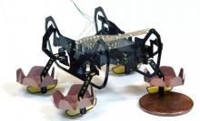 HAMR微型机器人现在可以在水上或水下行走