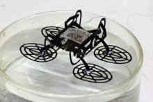 哈佛最新的可以在水上行走的机器人