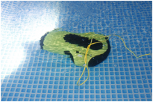 即将兴起的水下机器人前景初探