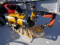 创新、机器人水下采捕野生海参