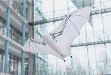 抢先看！即将在2018世界机器人大会上亮相的“明星”们