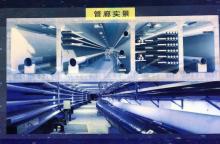  未来城市地下将成参观景点？那里不仅有巨型地下智慧管廊，还有机器人自动巡检