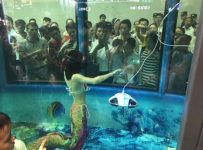 美人鱼与机器人共舞 臻迪集团亮相智博会