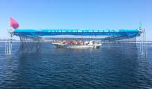 决赛首日 机器人水下成功抓取海参