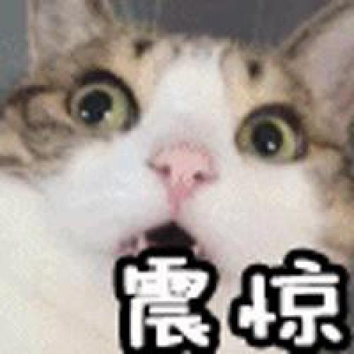 快递新姿势 苏宁“卧龙一号”助力智慧物流跑步前进