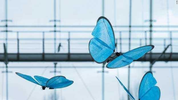 英国人研发仿生蜘蛛机器人，可在林区进行勘探，打破吉尼斯纪录