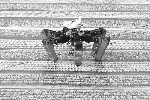 模仿沙漠蚂蚁，法国研发出首个用阳光而非GPS导航的机器人