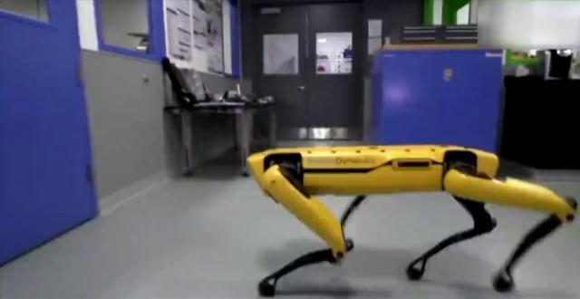 真正的类人机器人来了！