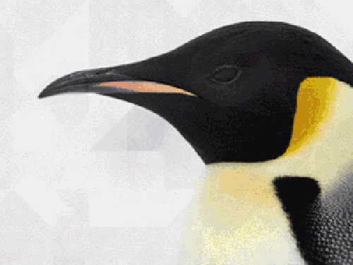 这个折纸机器人能抓起超100倍自重物体！