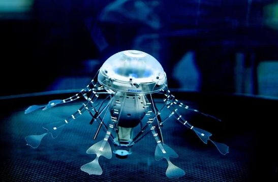 24水下无人机 波浪下的机器人技术的繁荣