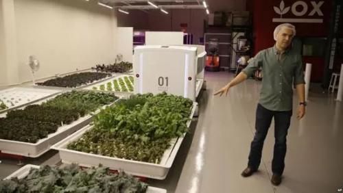 再见菜农！美国机器人能自己种菜了