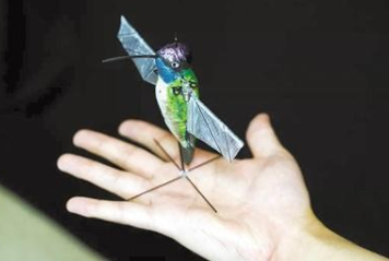 自动躲避障碍物 微型蜂鸟机器人靠AI算法飞行