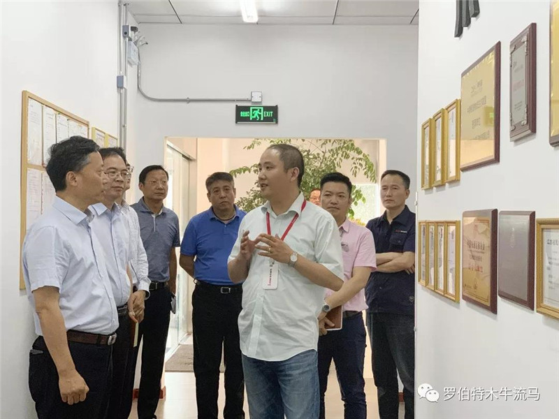 苏州工业园区党工委委员王帅风一行调研“木牛流马”