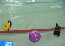 博雅工道教育水下机器人获央视报道