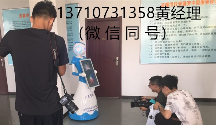 公安局机器人，出入境机器人，智能服务机器人