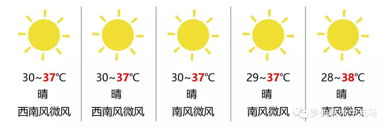 员工风采 |酷暑 - 致敬同时奋战在15个项目中的“木牛流马”人