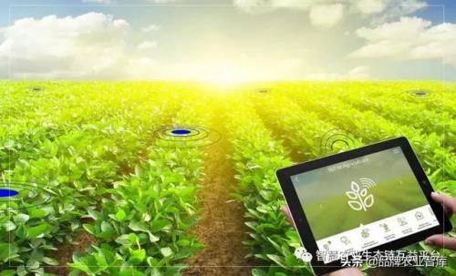 美国科学家预测未来农业发展的五大方向