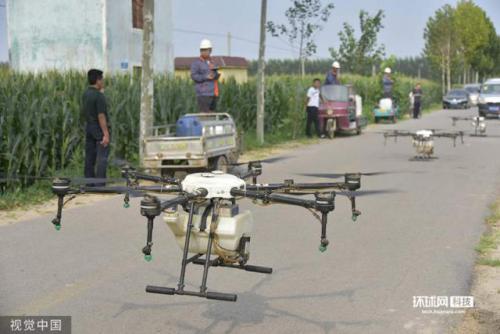 山东：飞防手田间操纵无人机 进行药物治虫工作