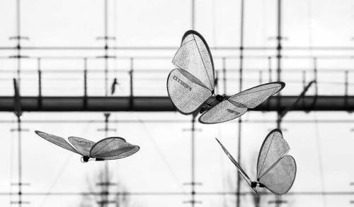 仿生无人机：“破茧成蝶”舞翩跹