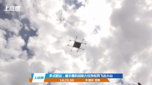 顺丰无人机运输松茸全流程曝光 多式联运助推甘孜农业提速增收