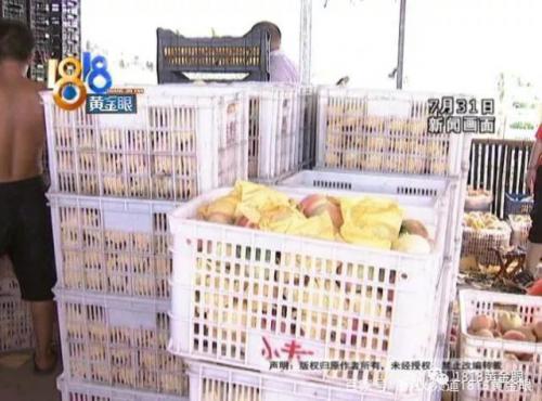 远程手术、无人船、微公交……5G将“改变社会”