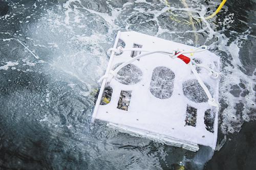 期待“海底大疆”从大连诞生（组图）