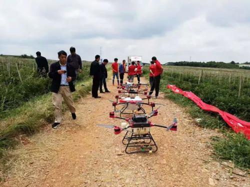 天鹰兄弟植保无人机助力宣威市落水镇病虫害防治