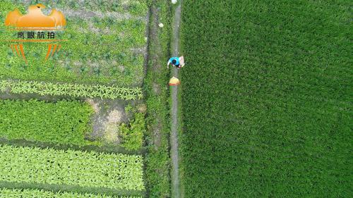 成都航拍公司无人机监管分析