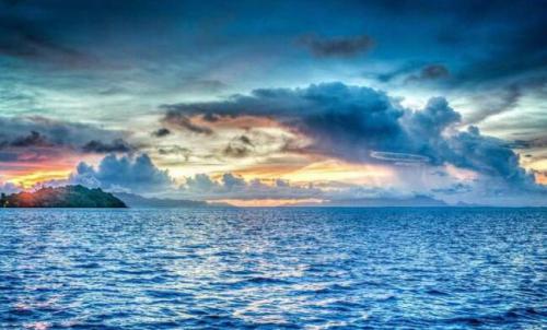 海洋机器人将观察浮游植物的健康状况