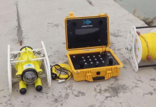 水下机器人在核电厂取水口海生物监测中的初步应用