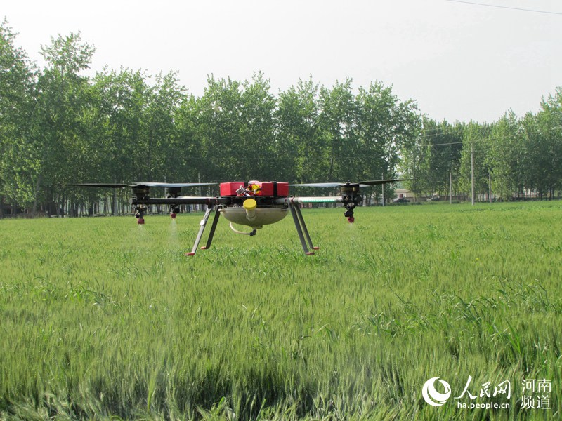 河南西华：无人机助力传统农业大县“展翅高飞”
