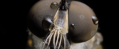 微型仿生太阳能无人机，重量才几十克！