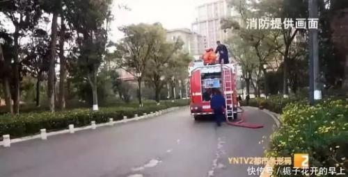 怎么办？无人机被卡30米高大树；U-8EW无人机亮相国际航展