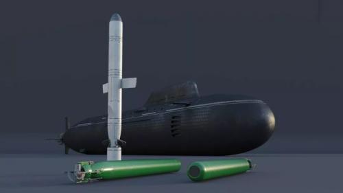 行业视点 | 重点国家最新主力鱼雷发展概况