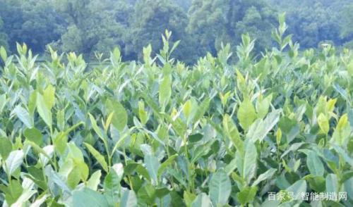 延续升温还是重回低迷？2019年无人机行业融资盘点！