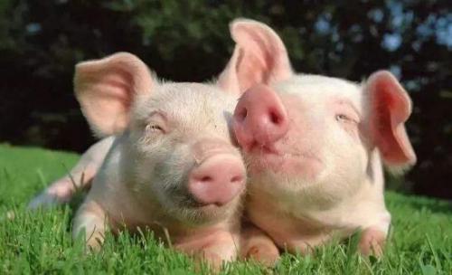 无人机“投毒”的脑洞