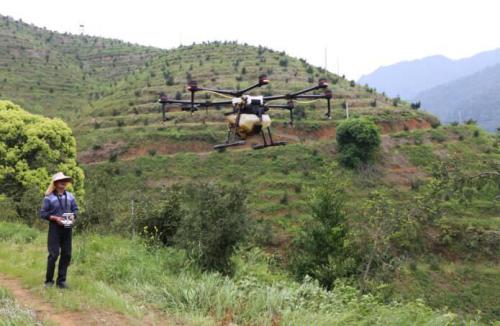 一架顶30个人!来看浙江遂昌的无人机春耕