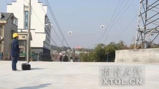 "5G+无人机"协同巡检韶山电网"大动脉"