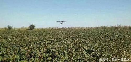 植保无人机技术，你不应该吹上天，应该深耕施药技术