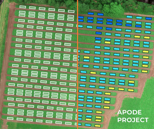 你种植的土豆病了，无人机医生来现“卜”预知